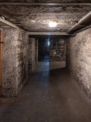 seinsheimstrasse-8-wuerzburg-16_original